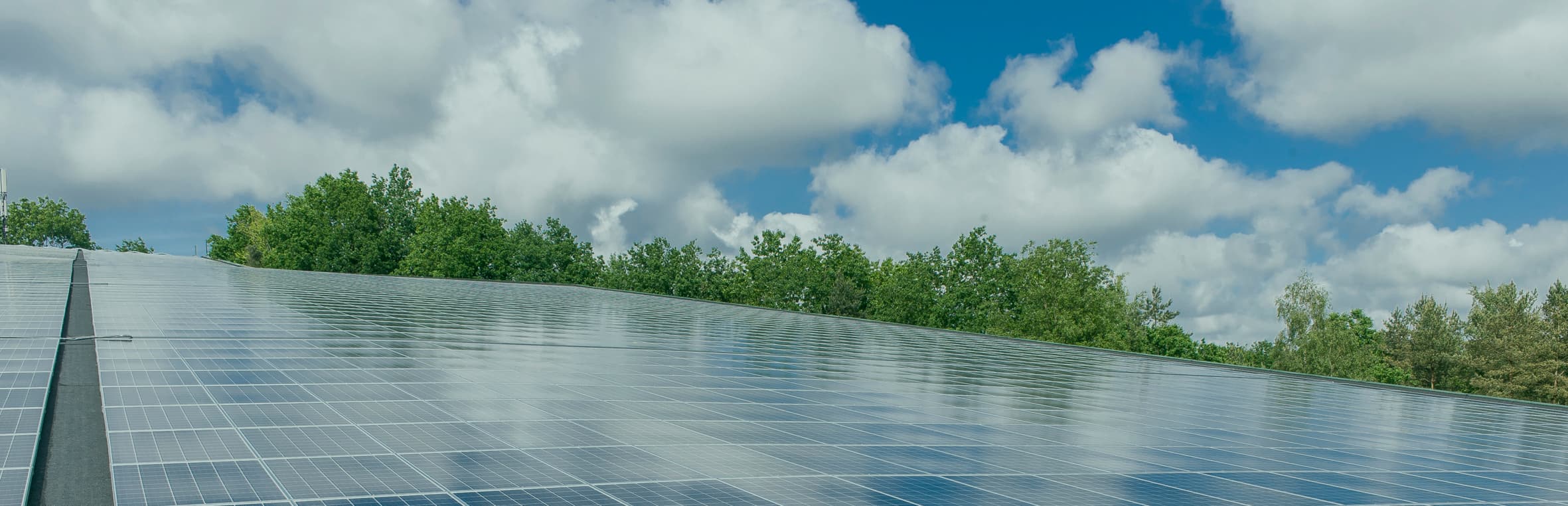 Zonnepanelen in Flevoland